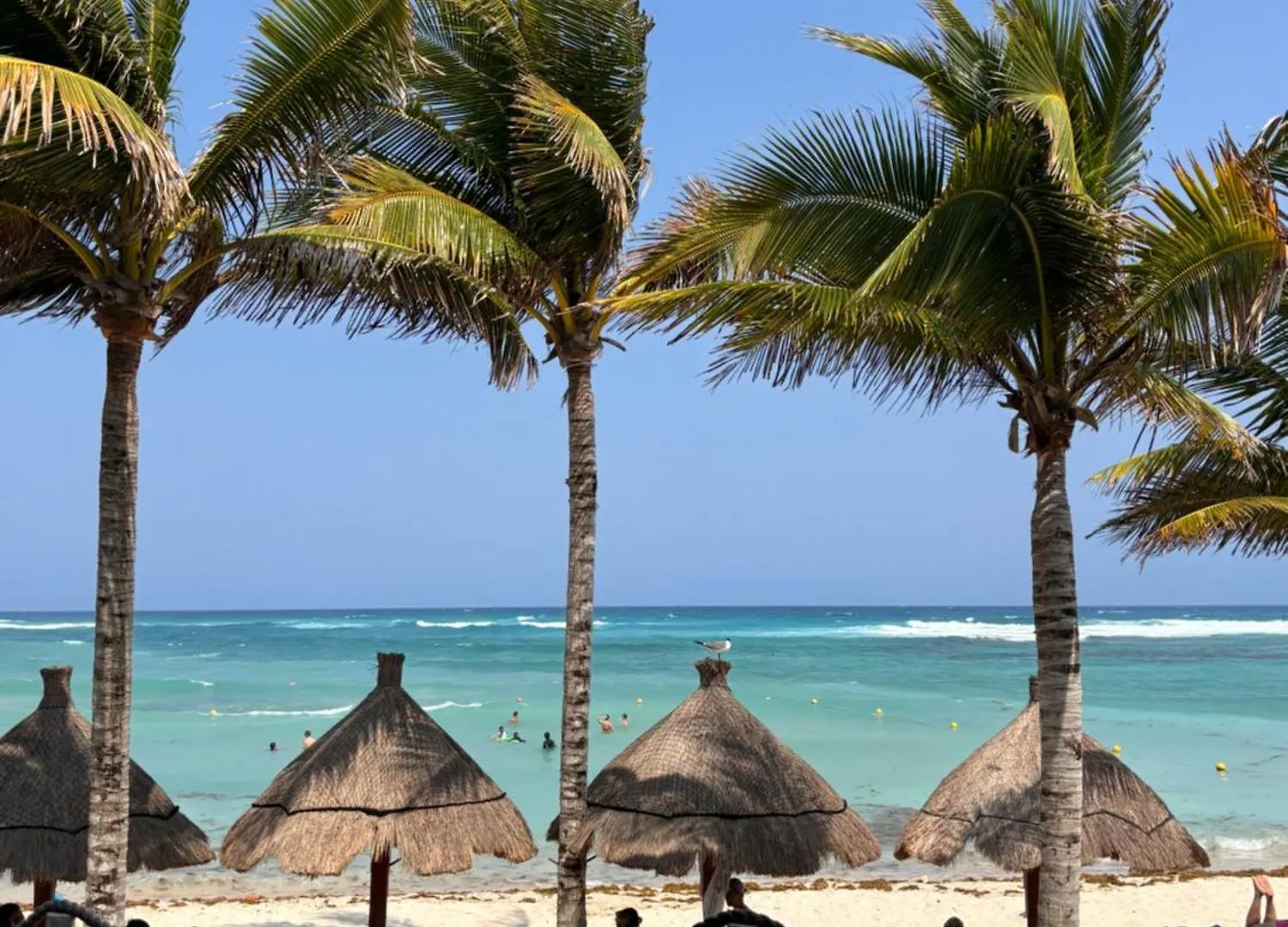 Apartment Golf & Beach Haven Tulum